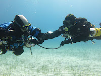 Divers practicing out of air scenarios on Sidemount