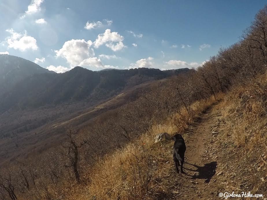 Hiking the Sardine Peak Loop, Snowbasin Girl on a Hike