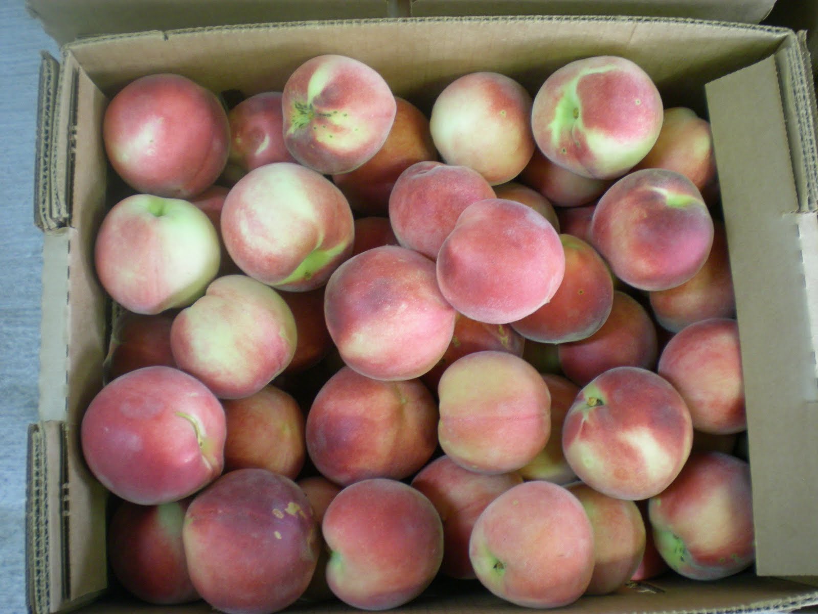 Jarvis House Peaches at Gross' Orchard Bedford, Virginia