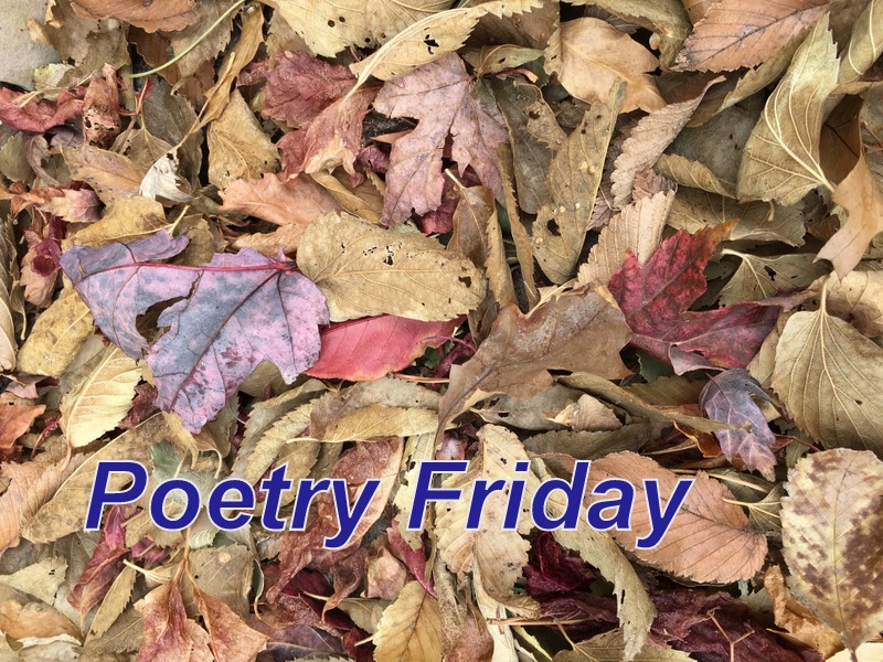 Teacherdance Poetry Friday Poems Animals