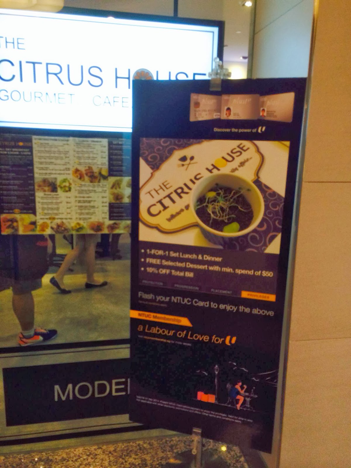 Uniquelious The Citrus House Clarke Quay (Singapore)