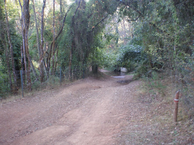 Arroyo del Bejarano