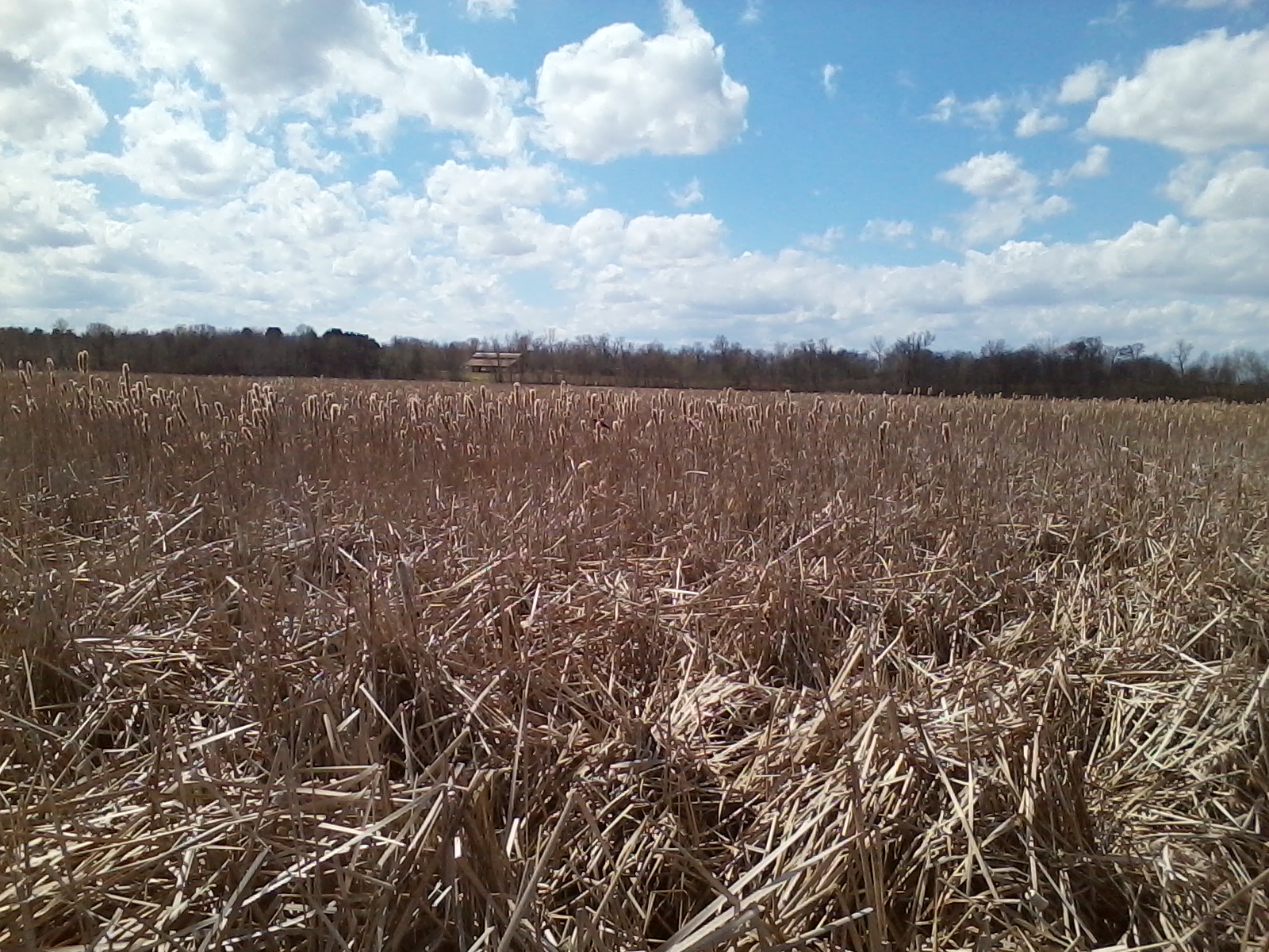 TravelBabble Bunker Hills Regional Park