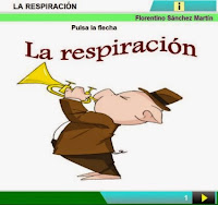 http://cplosangeles.juntaextremadura.net/web/edilim/curso_4/cmedio/la_nutricion/la_respiracion/la_respiracion.html