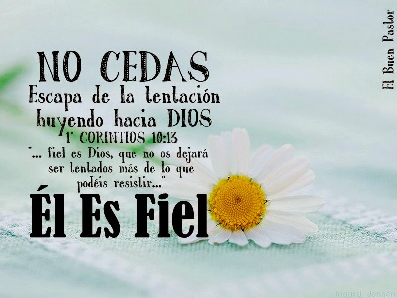 yo-soy-el-buen-pastor-1-corintios-10-13