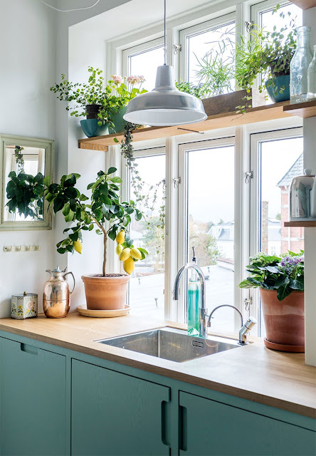 Plants add warmth and cozy to kitchen- design addict mom