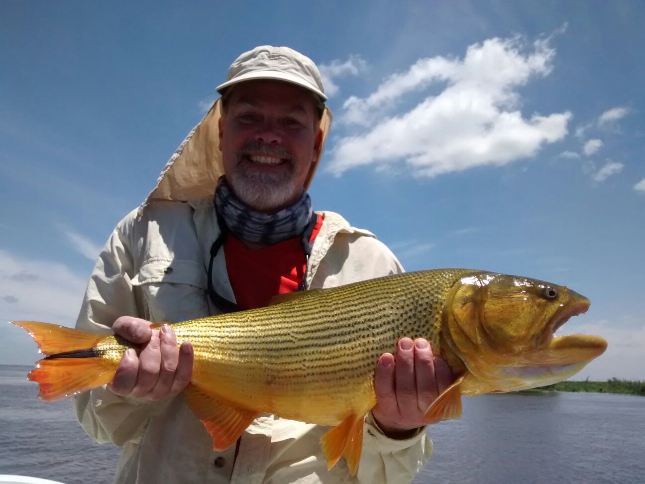 First Cast Fly Fishing Golden Dorado Argentina Buenos
