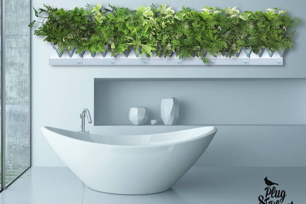 數位時代翻攝自 Plug and Plant Facebook 粉絲頁 數位時代翻攝自 Plug and Plant Facebook 粉絲頁