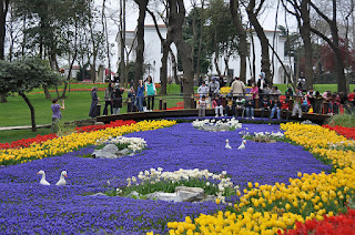 Taman Bunga Tulip di Turki