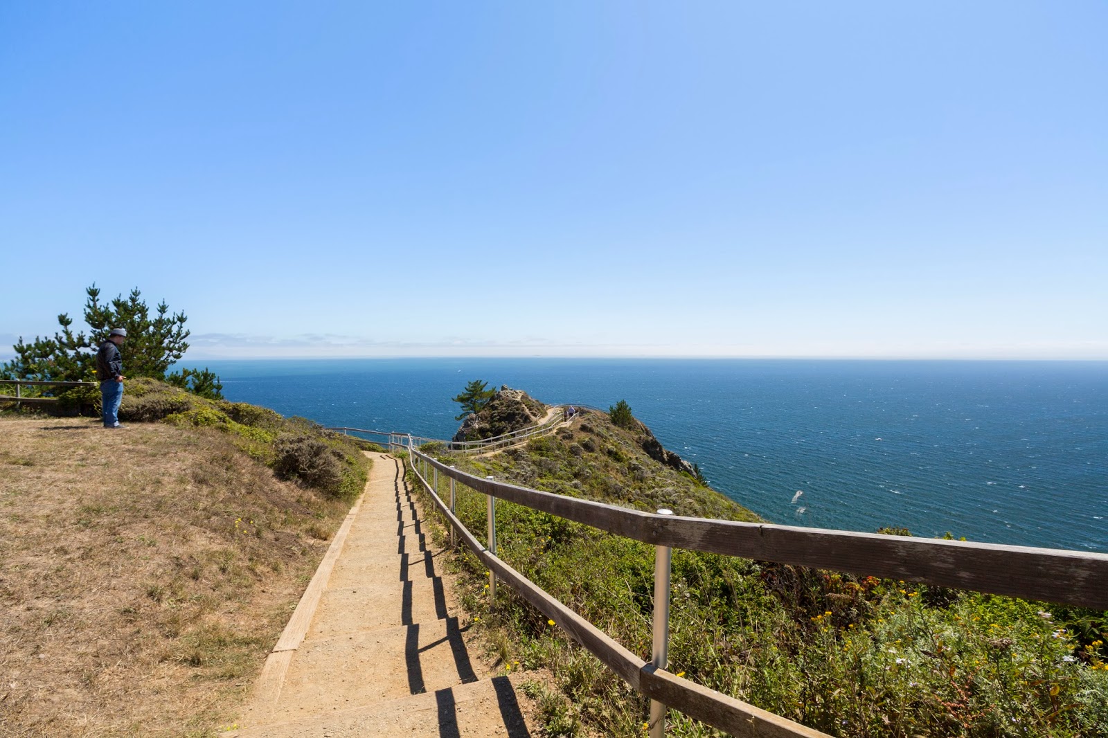 Naturetastic Blog Point Reyes, Stinson Beach, Muir Beach Overlook