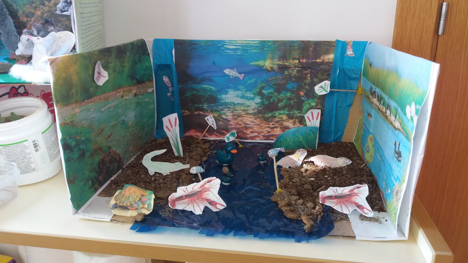 FOTOS MAQUETA AGUA DULCE