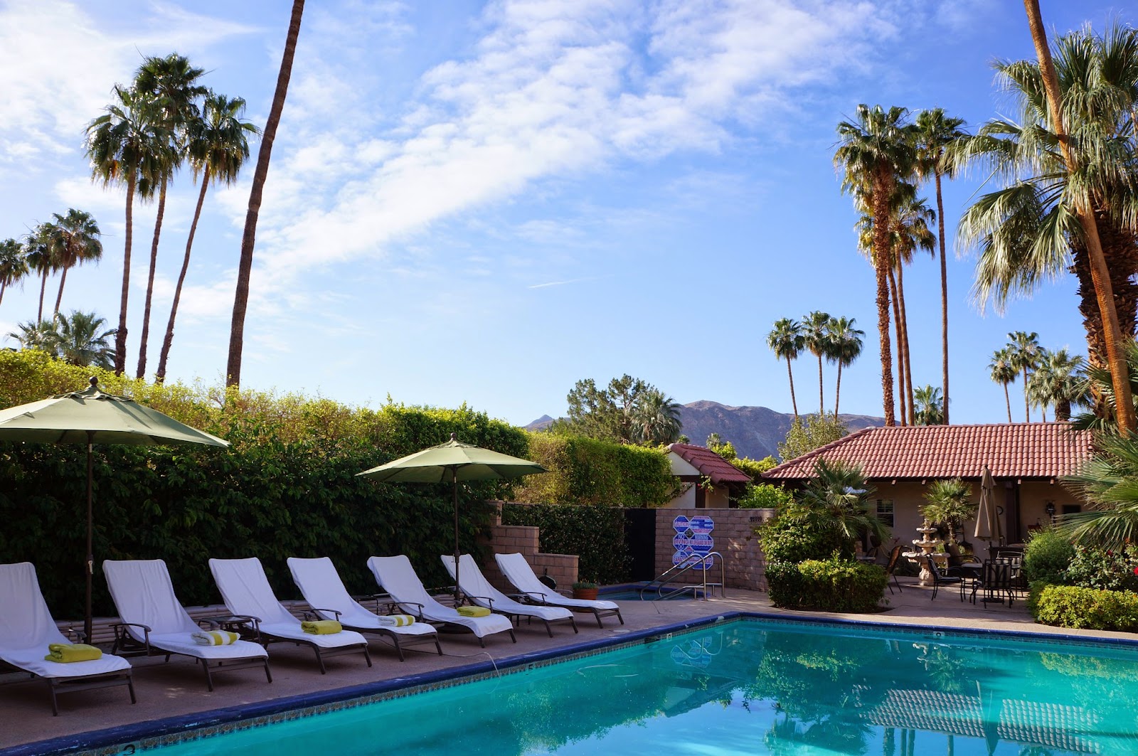 Palm Springs Memories BananaWalnut Date Shake/Smoothie