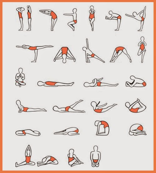 Twenty Six Posture Exercises Bikram Yoga Poses ~ Yoga Poses For Beginners