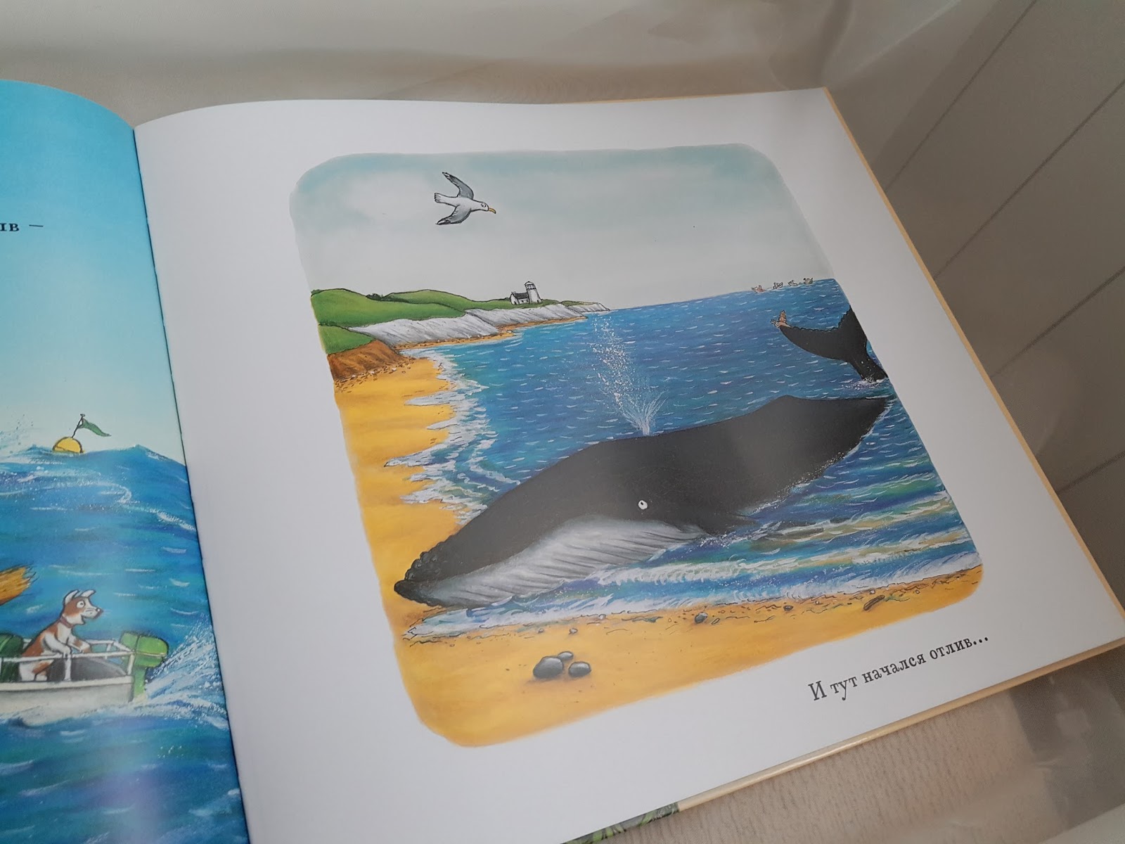 Улитка и кит джулия дональдсон читать онлайн с картинками