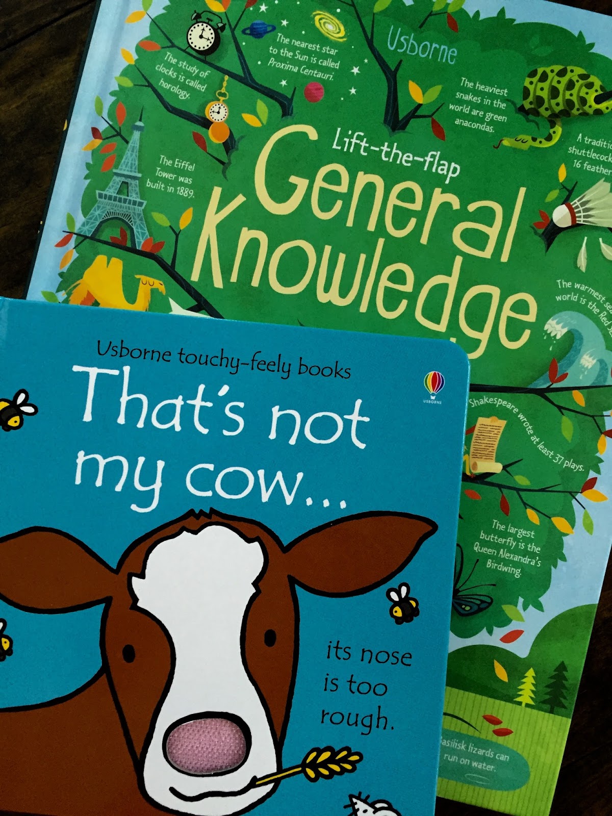 Group Blog What's in a Picture Book Title? By Suzy Leopold