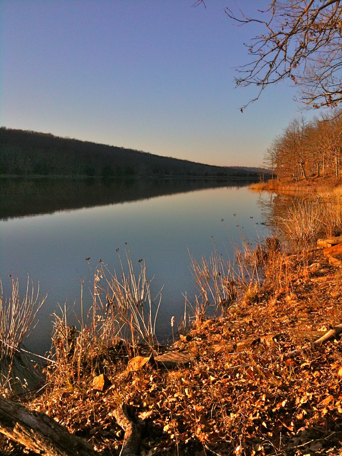 Everything and a Racehorse Adventures at Lake Wilson