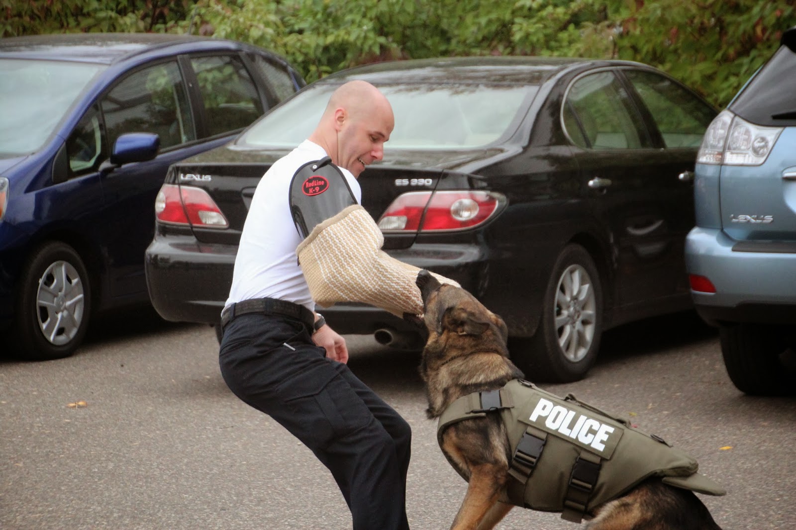 ABC Wednesday "P" IS FOR PROTECTIVE VESTS FOR POLICE DOGS