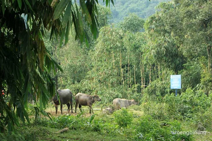 situs kuta gegelang gunung bunder