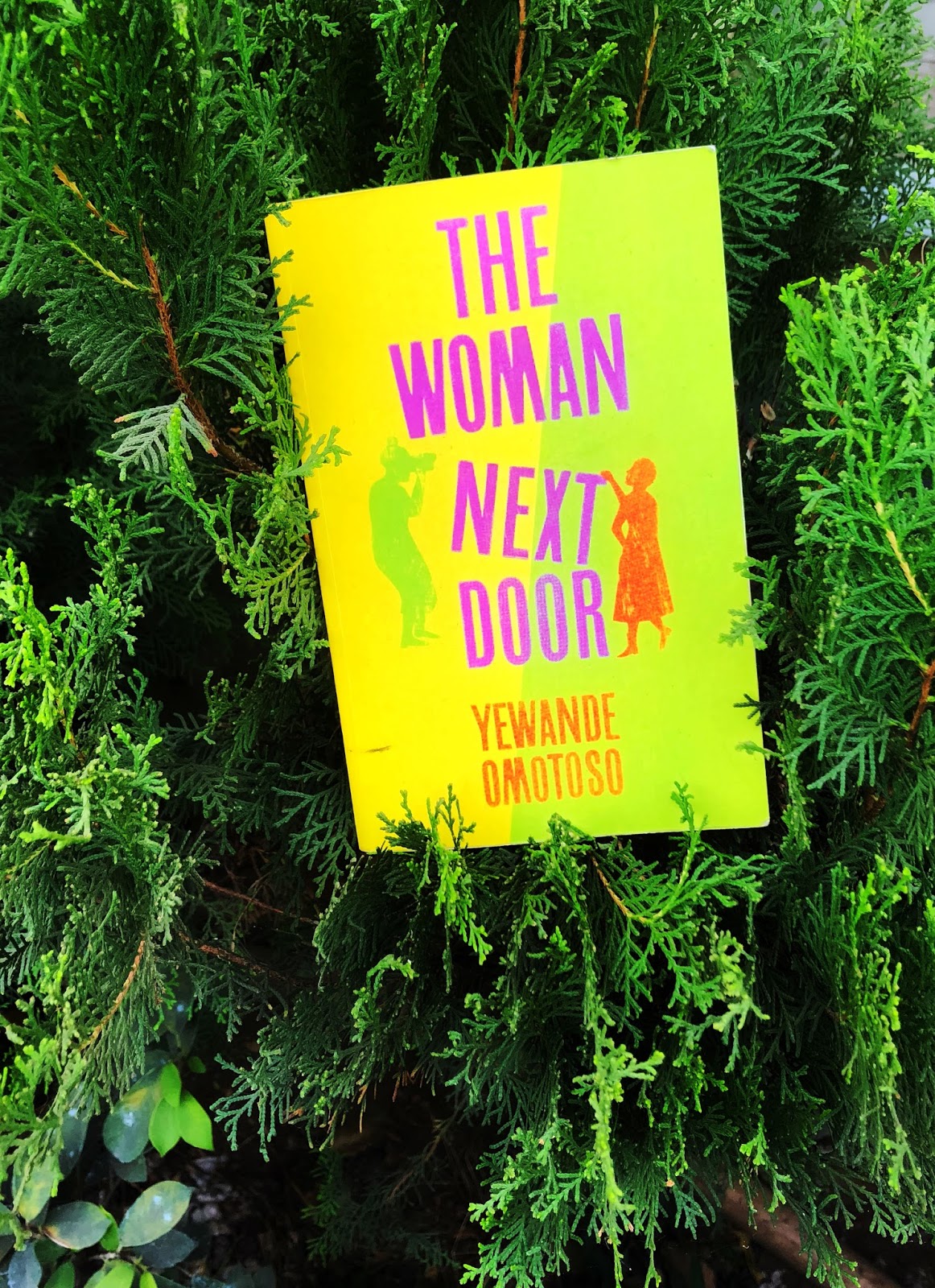 REVIEW THE WOMAN NEXT DOOR