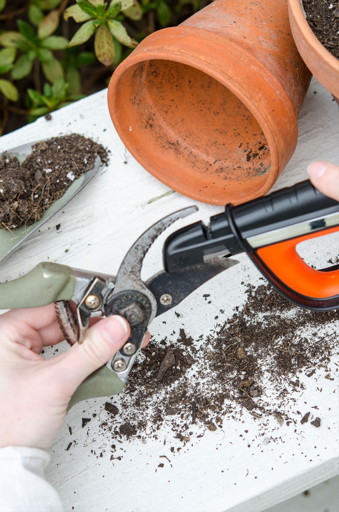 Use this one simple tool to sharpen your garden tools and keep your garden and landscaping healthy.   #gardening #tools #simpletips #helpfultips #andersonandgrant
