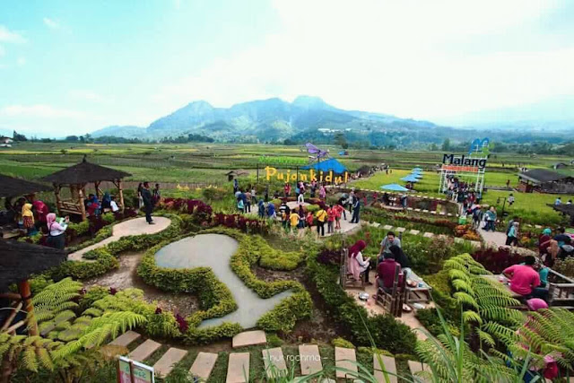 Dimana Lokasi cafe sawah Pujon Kidul Dimana Lokasi cafe sawah Pujon Kidul