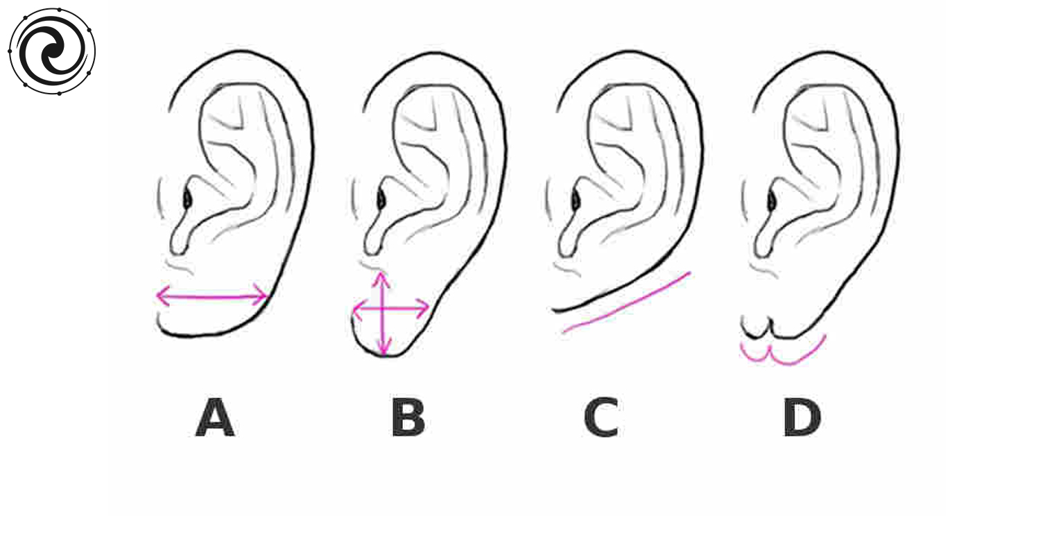 Что означают уши для мусульман. Форма мочки ушной раковины. Форма мочек ушей и характер человека. Физиогномика мочки ушей.