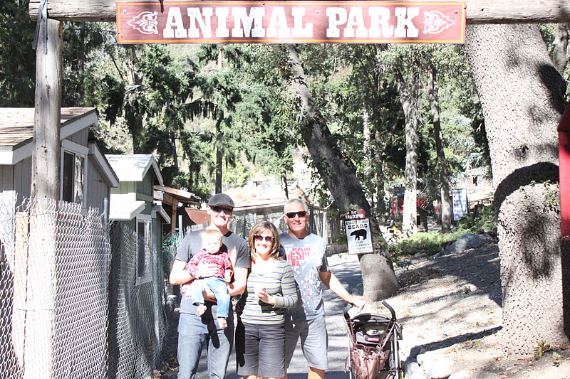 thegoltrys Oak Glen Petting Zoo and The Pumpkin Patch...