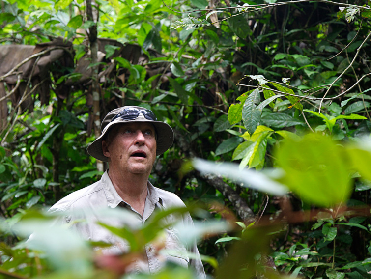 Rei Harald V da Noruega na Amazônia brasileira Blog Monarquia Já Rei Harald V da Noruega na Amazônia brasileira Blog Monarquia Já