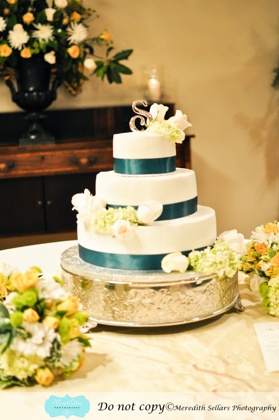 Meredith Sellars Photography: Matt & Danna Stringfellow