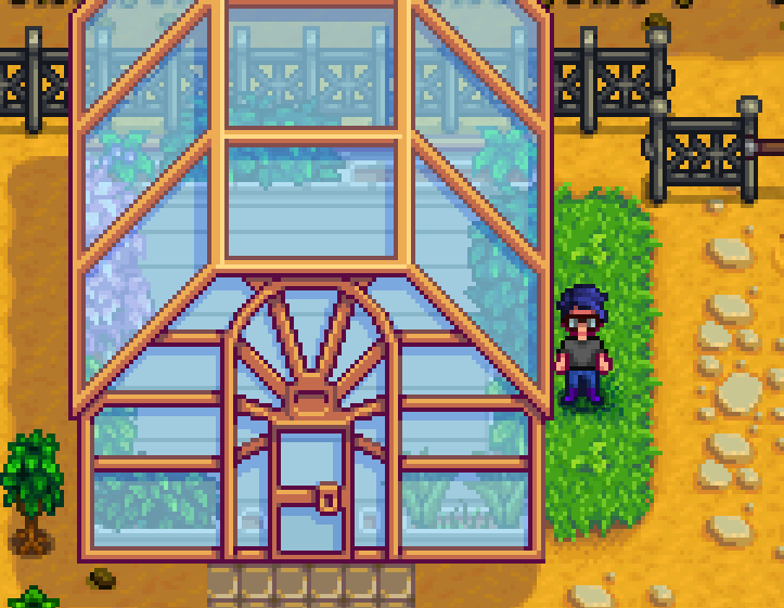 Stardew Valley Walkthrough / Guide Other Locations Greenhouse