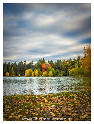 Autumn, Lake Ruataniwha, Twizel