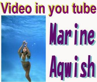 Marine Aqa Video in you tube