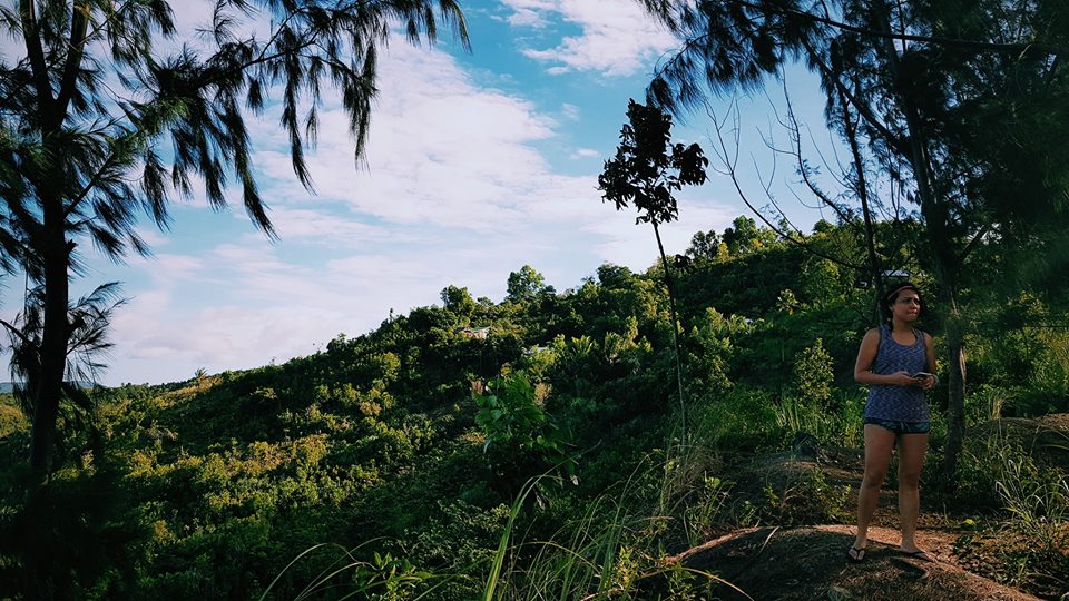 Get Bonsai Forest Dinagat Island Pics