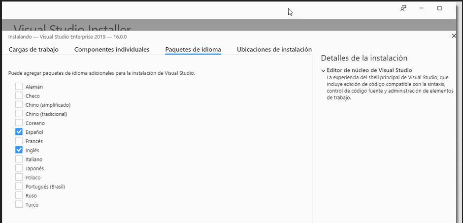 Microsoft Visual Studio 2019 Professional Full Español