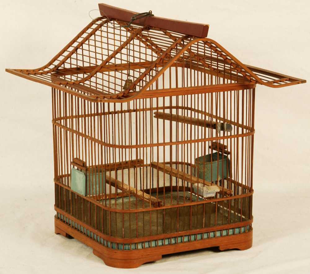Bird In Everything Chinese Bird Cage