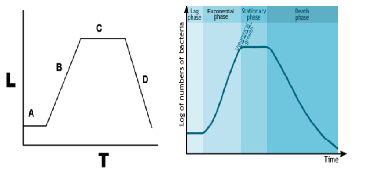 Mathematics In Medical Field Mathematics In Medical Field