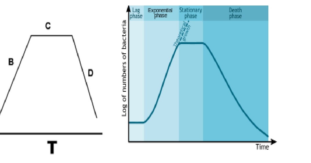 Mathematics In Medical Field Mathematics In Medical Field