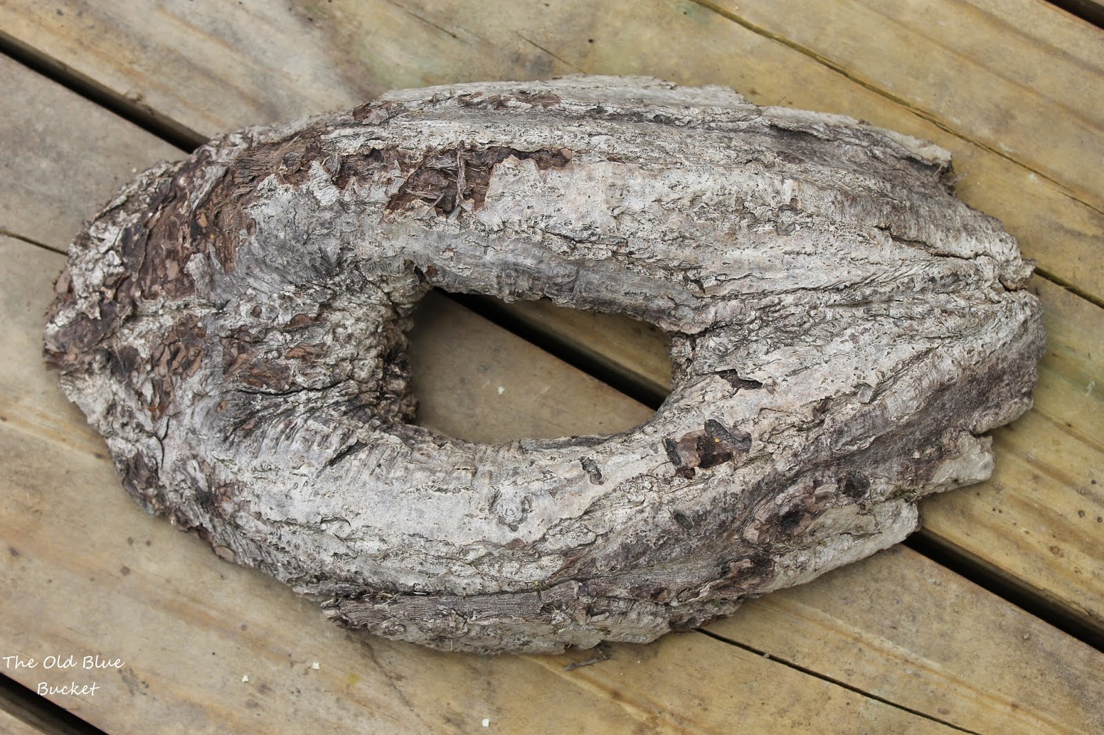 The Old Blue Bucket Tree Knot in the Garden
