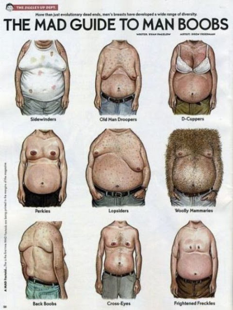 EVOLUTION