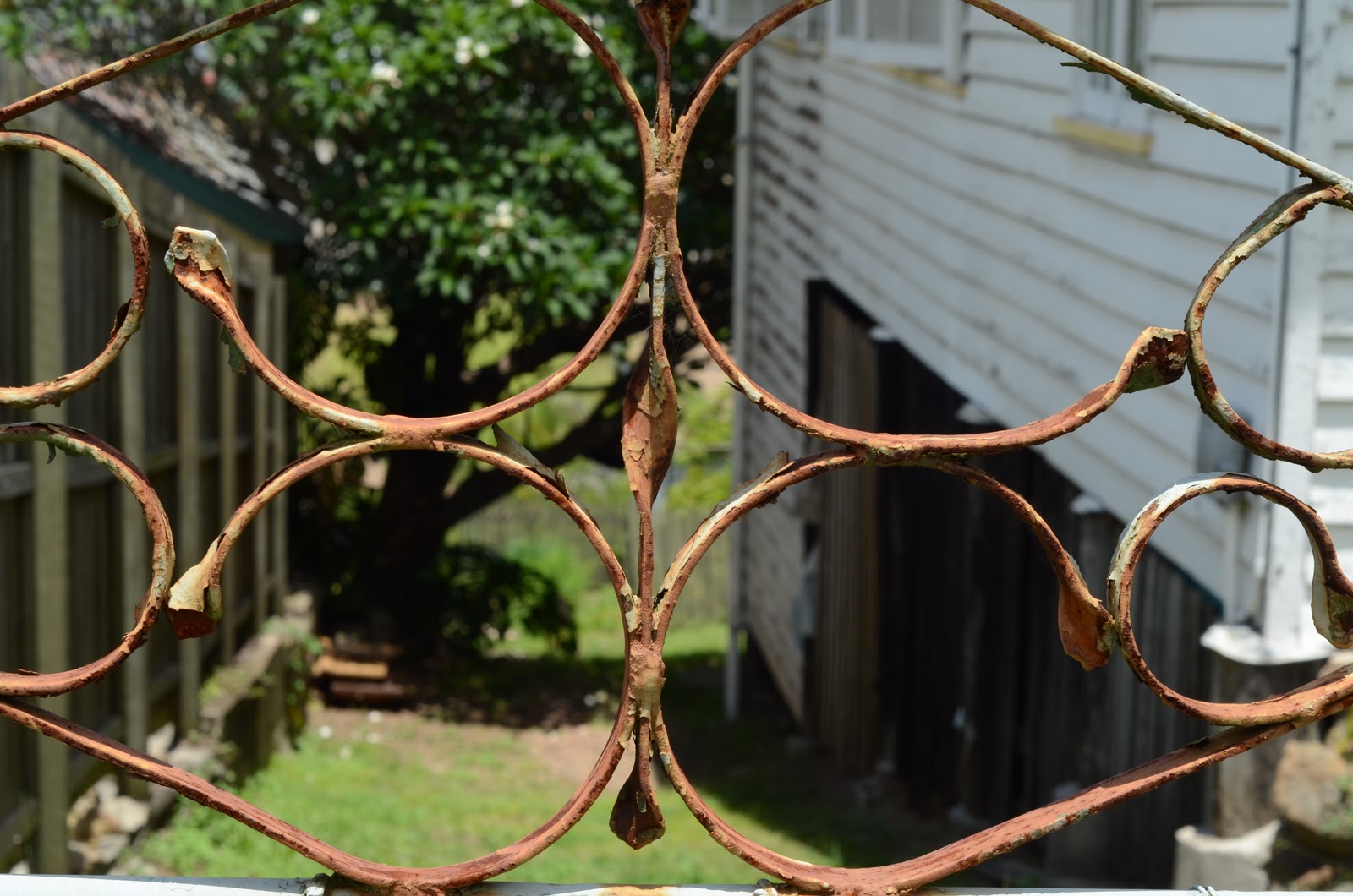 Brisbane Daily Photo Rusty Gate