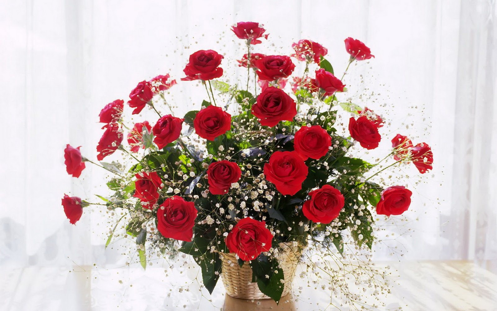 Rosas rojas wallpapers