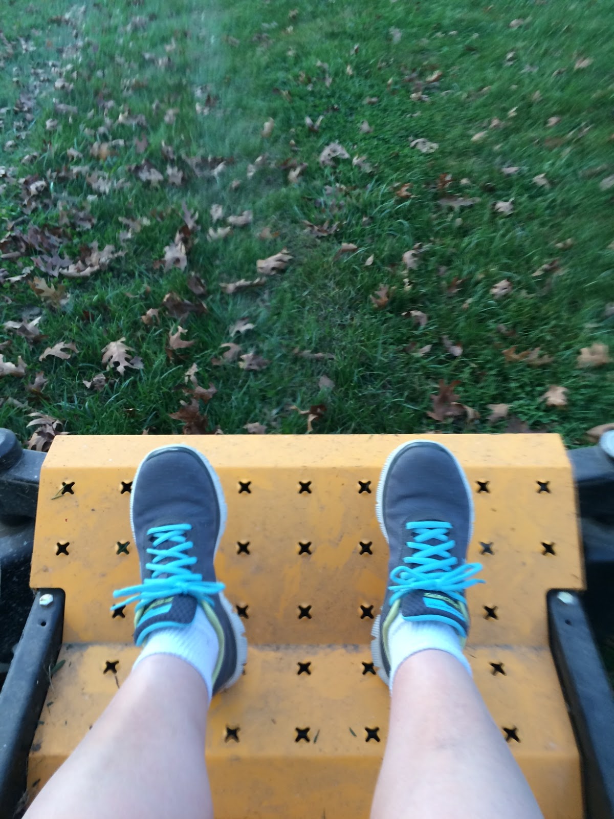 Down On The Farm 2016 down-on-the-farm-2016