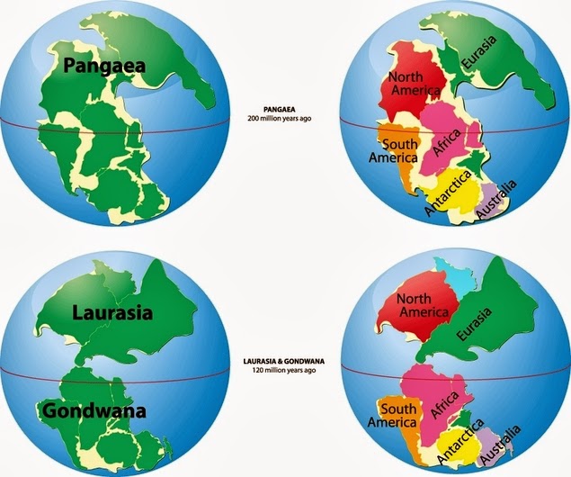 Пангея лавразия гондвана схема
