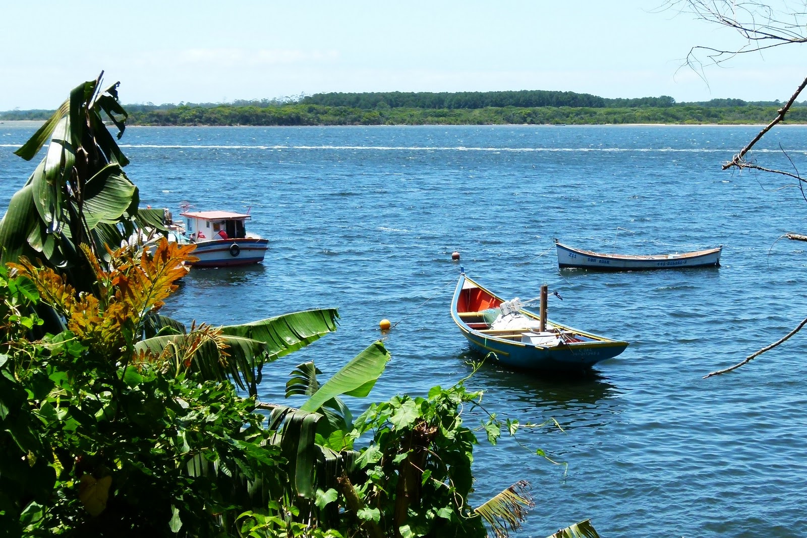 A ARTE DE FOTOGRAFAR Trilha Canto dos Araças Costa da Lagoa