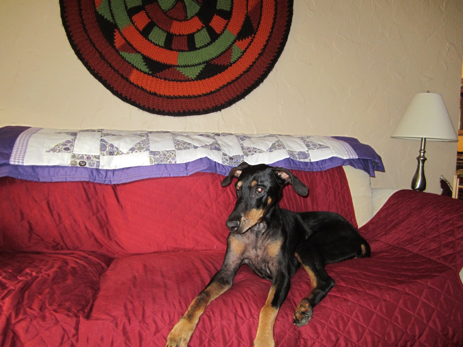 United Doberman Rescue and Canine Castaways of Minnesota Common Health