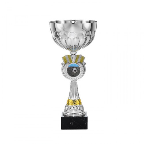 Trofeo Liga Juvenil Regional 2011 (3ª Posicion)