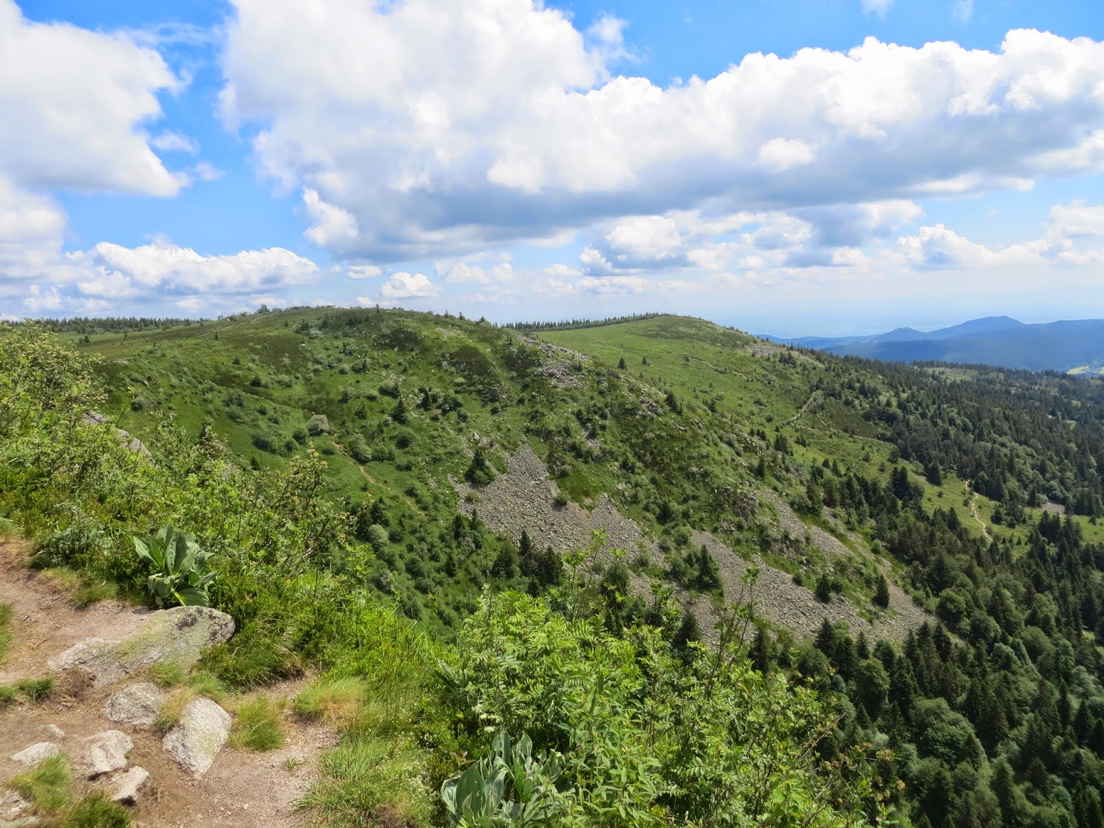 La rimaye: l'amour des montagnes: Drumonts & Gazons