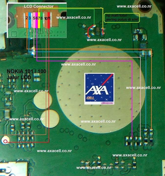 BISNIS ONLINE Jalur LCD & LED Nokia 101