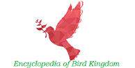 Encyclopedia of Bird Kingdom