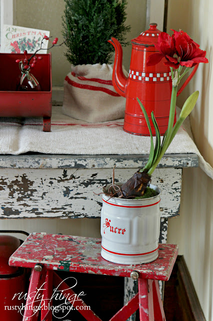 Red Amaryllis in a vintage French enamelware canister